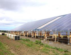 Réalisation d'une production solaire photovoltaïque